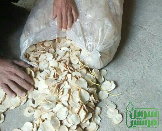 فروش بدون واسطه موسیر تازه در استان کردستان