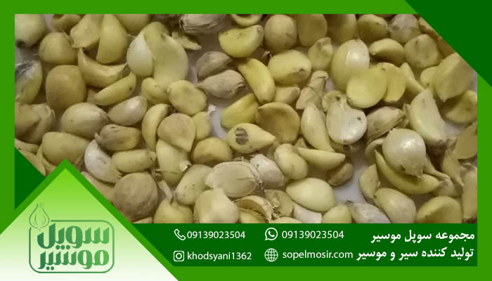 خرید عمده سیر برای بازار داخل