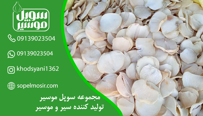 قیمت موسیر تازه اصفهان + خرید عمده