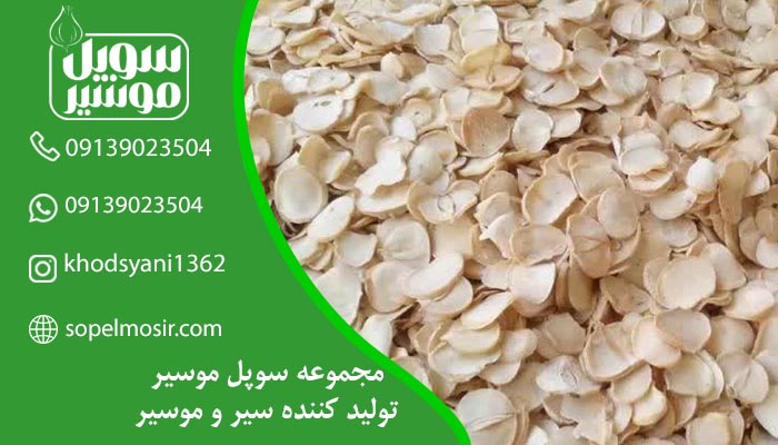 موسیر خشک عمده + خرید جهت صادرات