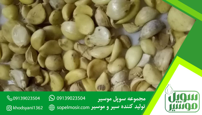 خرید عمده موسیر دشتی