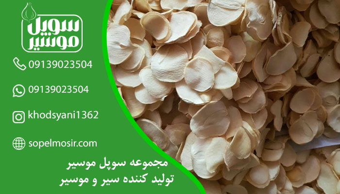 خرید و قیمت موسیر عمده