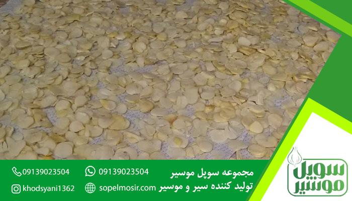 فروش عمده موسیر کوهی تازه سوپل موسیر